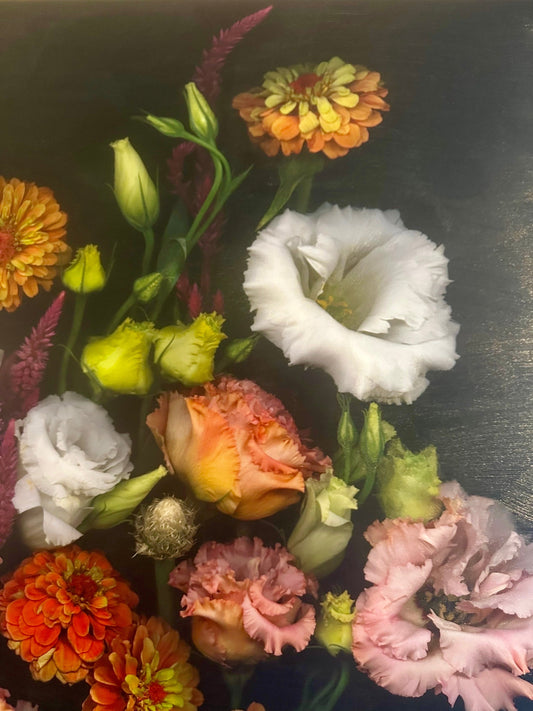 The Healing Power of Art in Mediicine: Enhancing Patient and Provider Well-Being at Jennifer Baron M.D. Dermatology & Mohs Surgery